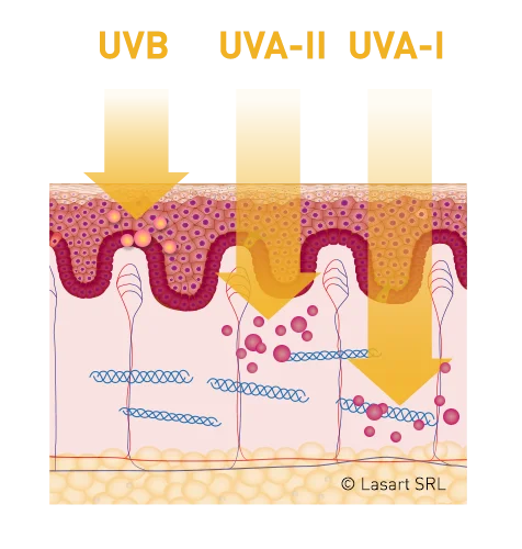 Pelle e UVB + UVA-II + UVA-I Pelle e UVB + UVA-II + UVA-I