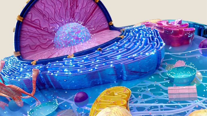 struttura cellulare e stress ossidativo